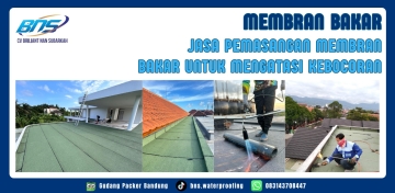 popular-news-img-1